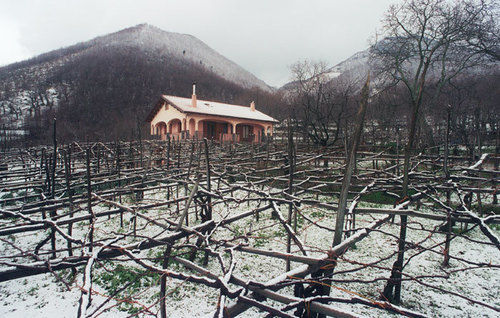 Il Frescale Country House Трамонти Екстериор снимка